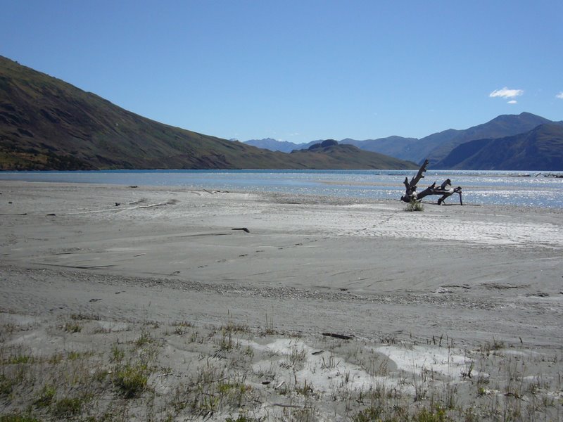 Travel - New Zealand - Glendhu Bay